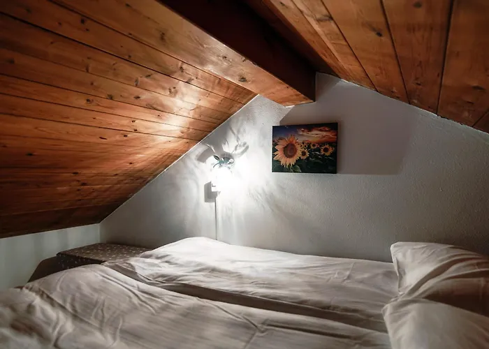 Casa Edera By Quokka 360 - Typical Romantic Wooden House * Solduno